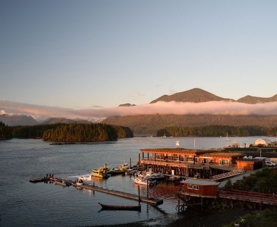 Tofino