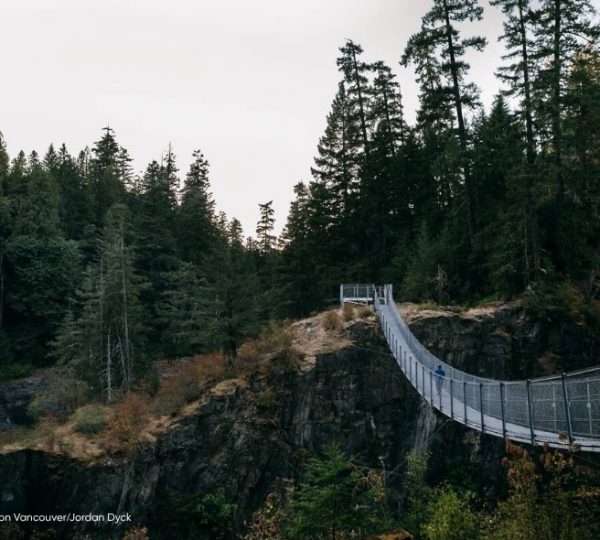 Hängebrücke über eine Schlucht in den Wäldern von Campbell River, Westkanada.