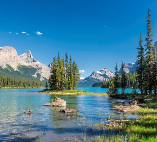 Landschaft im Jasper Nationalpark mit klarem Wasser und Bäumen im Vordergrund.