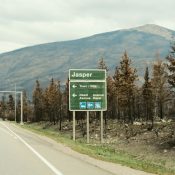 Wegweiser nach Jasper mit Informationen zu Straßen und Richtungen im Jasper Nationalpark.