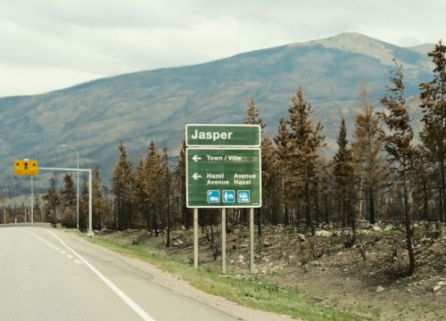 Jasper Nationalpark 2025: Was ist geöffnet, worauf muss ich achten?