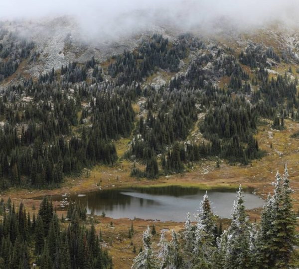 Ein kleiner Bergsee umgeben von Bäumen und Bergen in den kanadischen Rocky Mountains.