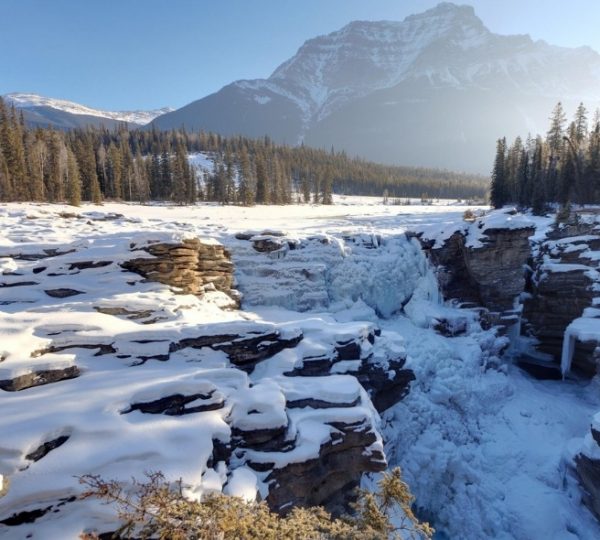 Athabasca-Wasserfall mit gefrorenem Wasser und schneebedeckten Felsen in der Winterlandschaft.