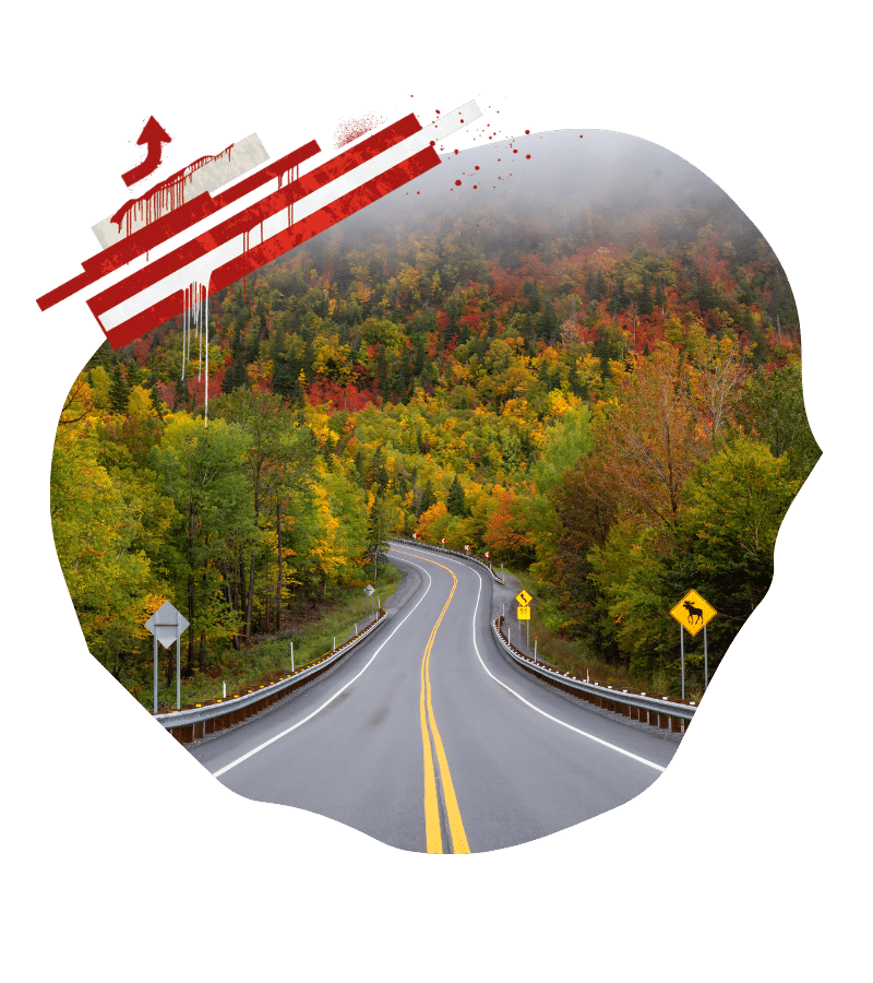 Kurvenreiche Straße umgeben von buntem Laub in einer herbstlichen Landschaft.