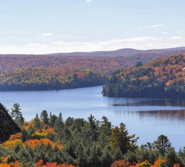 Herbstliche Landschaft im Algonquin Provincial Park mit bunten Bäumen und einem ruhigen See.