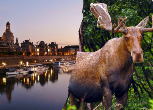 Ostkanada Rundreise zum Verlieben: Städteflair & Naturwunder auf einer Reise