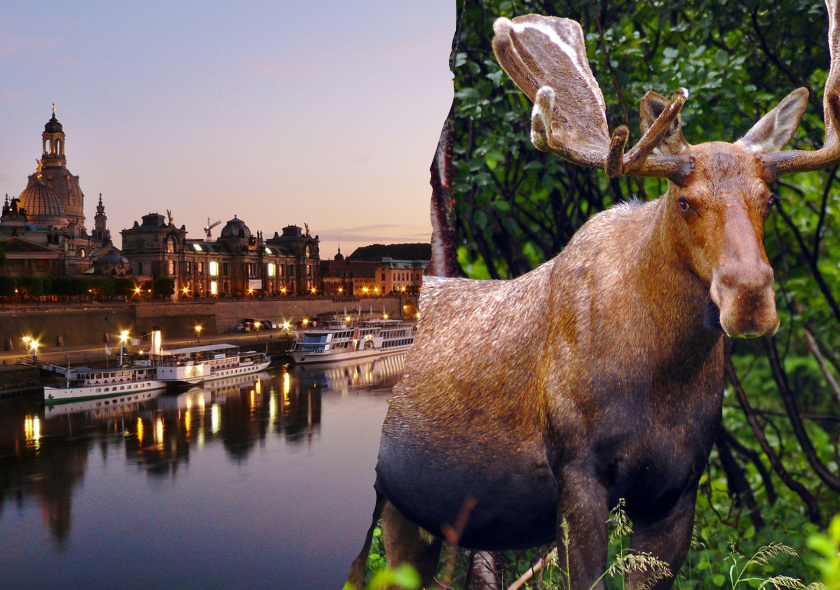 Ostkanada Rundreise zum Verlieben: Städteflair & Naturwunder auf einer Reise