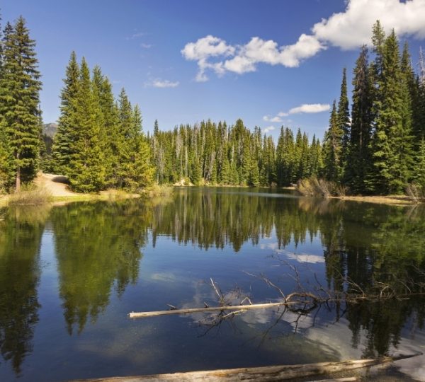 Ruhiger See mit spiegelndem Wasser, umgeben von hohen Nadelbäumen und klarem Himmel. Kanada-Rundreise