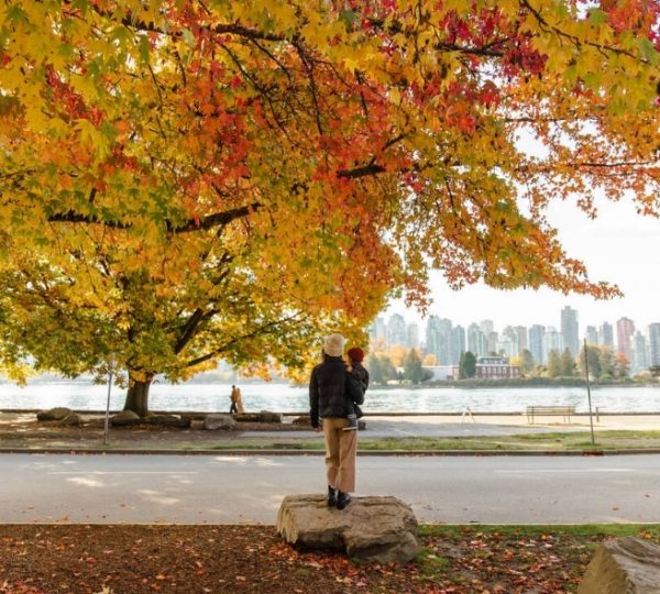 Eine Person steht vor einem großen Baum mit bunten Herbstblättern in Vancouver. Kanada-Rundreise