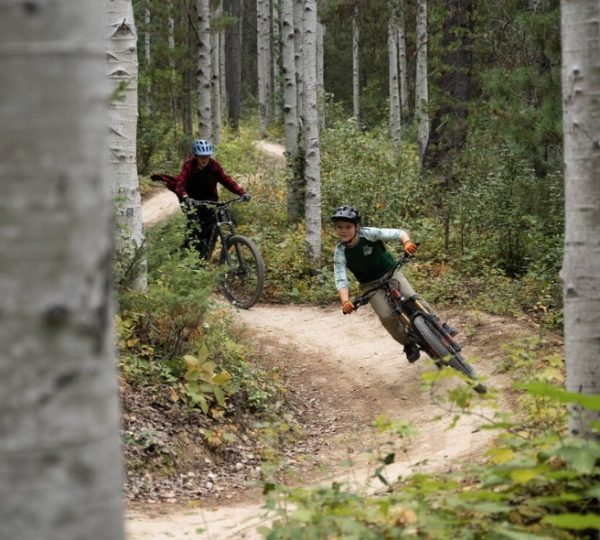 Zwei Mountainbiker fahren auf einem kurvenreichen Waldweg zwischen Bäumen.