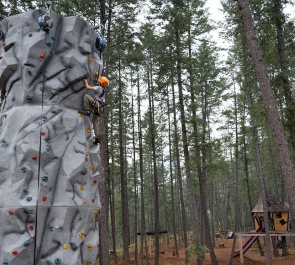 Ein Kletterer an einer grauen Kletterwand mit bunten Griffen in einem Waldgebiet. Kanada-Rundreise