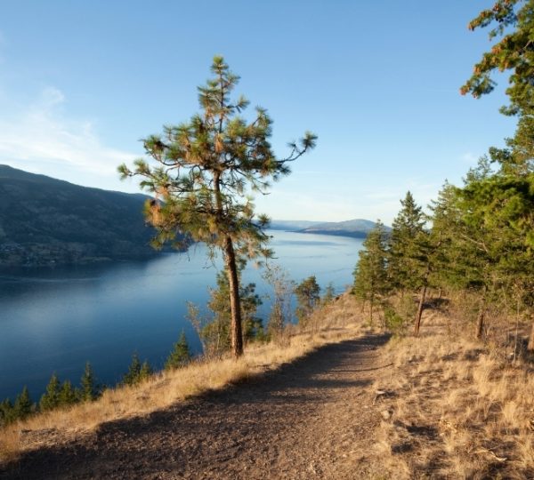 Ein Wanderweg führt entlang eines Sees, umgeben von Bäumen und sanften Hügeln. Kanada-Rundreise