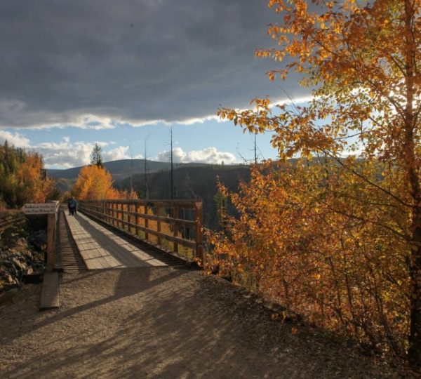 Ein Holzsteg führt durch eine herbstliche Landschaft mit bunten Bäumen und bewölktem Himmel. Kanada-Rundreise
