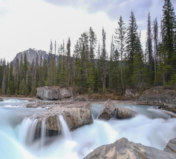 Ein Fluss mit sanften Wasserfällen und großen Felsen in einer bewaldeten Umgebung. Kanada-Rundreise