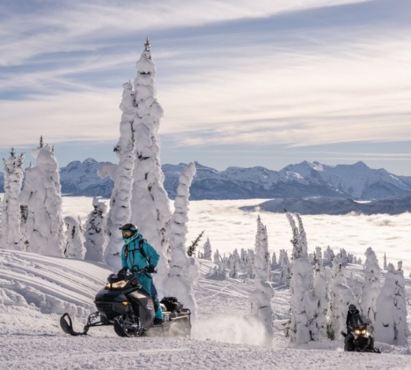 Zwei Schneemobilfahrer fahren durch eine verschneite Landschaft mit schneebedeckten Bäumen und Bergen im Hintergrund.