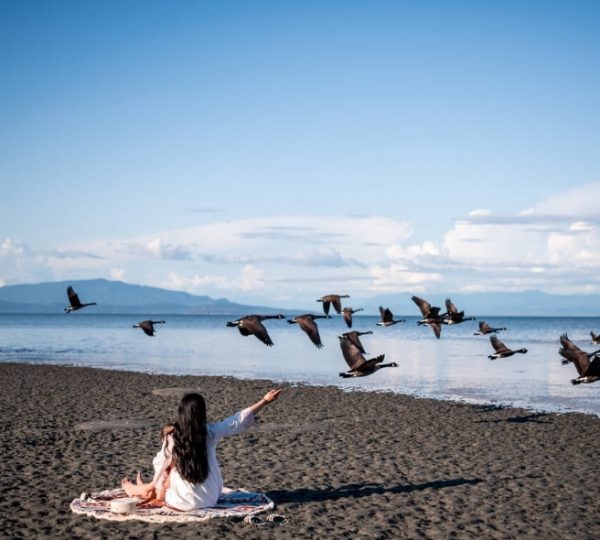Eine Frau sitzt am Strand und streckt ihre Hand aus, während Vögel über das Wasser fliegen. Kanada-Rundreise
