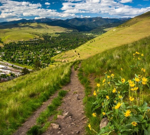 Ein Wanderweg führt durch eine grüne Landschaft mit Blick auf die Stadt Missoula und die Berge im Hintergrund. Kanada-Rundreise