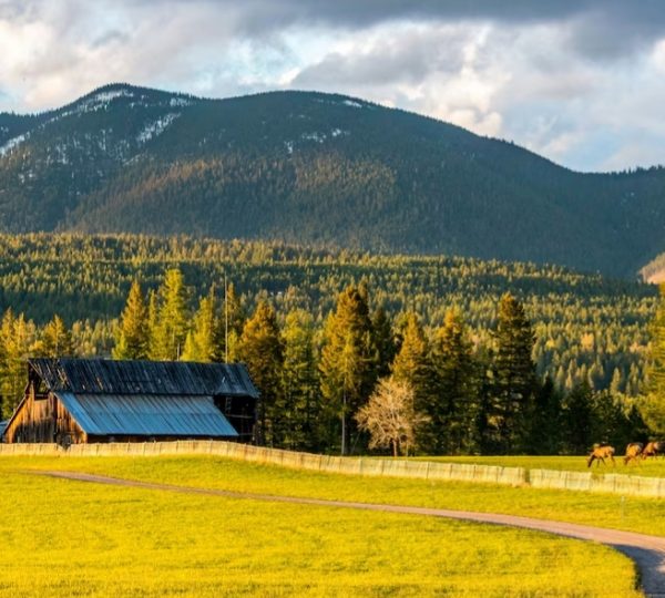 Scheune in einer grünen Wiese mit Bergen im Hintergrund und Bäumen. Kanada-Rundreise