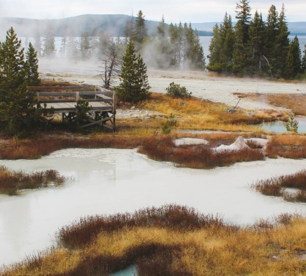 Geothermische Merkmale im Yellowstone Nationalpark mit Dampf und Wasserflächen. Kanada-Rundreise