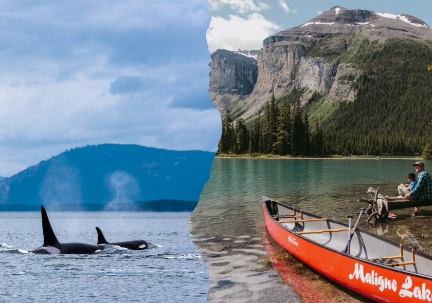Vom Pazifik zu den Rockies: 20 Tage Westkanada Rundreise im Mietwagen von Vancouver nach Calgary