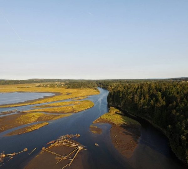 Luftaufnahme eines Flusses, der durch eine grüne Landschaft mit Bäumen und Ufervegetation fließt. Kanada-Rundreise
