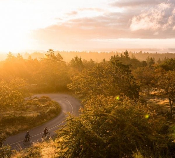 Zwei Radfahrer fahren auf einer kurvenreichen Straße durch eine bewaldete Landschaft bei Sonnenuntergang. Kanada-Rundreise