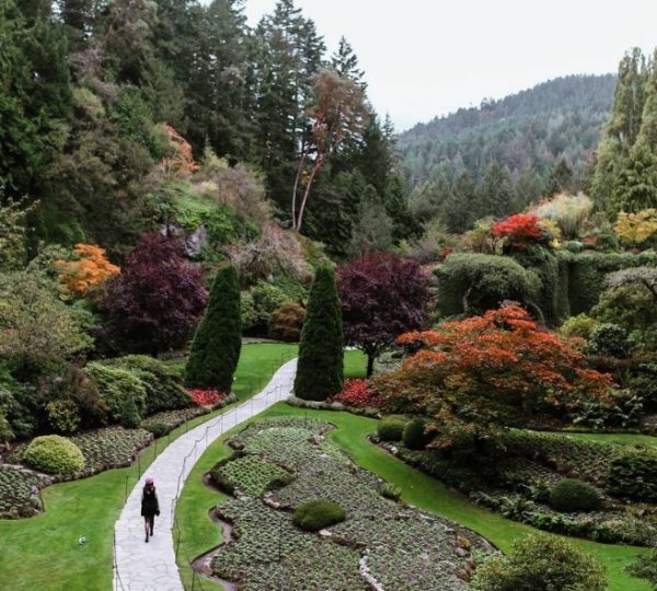 Gartenlandschaft mit bunten Pflanzen und einem Weg in den Butchart Gardens auf Vancouver Island. Kanada-Rundreise