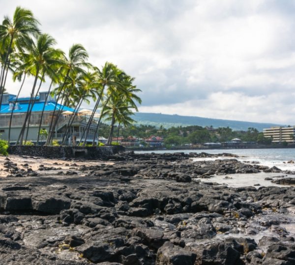 Küstenlandschaft in Kailua-Kona mit Palmen und Felsen am Wasser. Kanada-Rundreise
