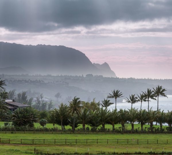 Landschaft von Kauai mit Palmen im Vordergrund und Bergen im Hintergrund unter bewölktem Himmel. Kanada-Rundreise