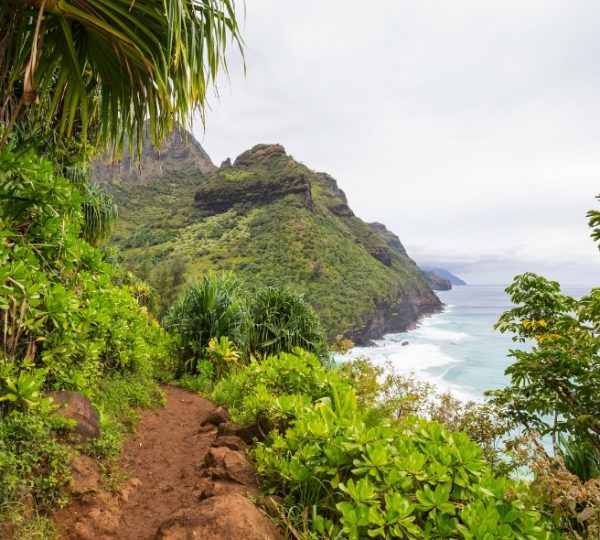Grüne Landschaft mit einem Wanderweg und Blick auf die Küste von Kauai, Hawaii. Kanada-Rundreise