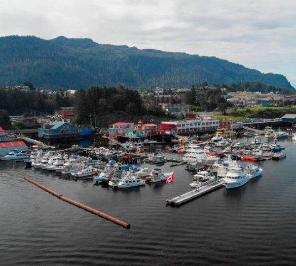 Luftaufnahme des Hafens von Port Hardy mit mehreren Booten und Gebäuden im Hintergrund. Kanada-Rundreise