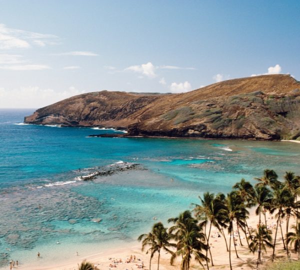 Blick auf die Küste von Maui mit klarem Wasser und Palmen im Vordergrund. Kanada-Rundreise