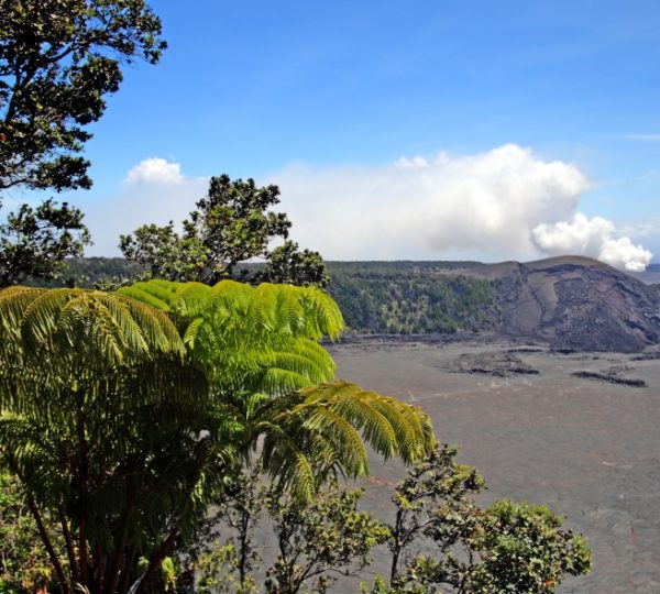 Vulkanlandschaft mit grünen Pflanzen im Vordergrund und rauchendem Vulkan im Hintergrund. Kanada-Rundreise