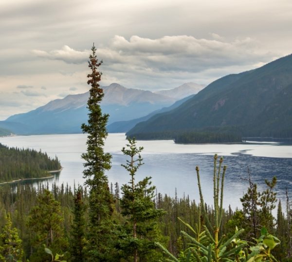 Blick auf einen See umgeben von Bergen und Bäumen in Westkanada. Kanada-Rundreise