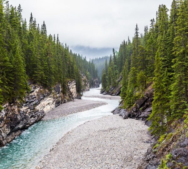 Ein Fluss, der sich durch eine bewaldete Schlucht mit steilen Felsen schlängelt. Kanada-Rundreise