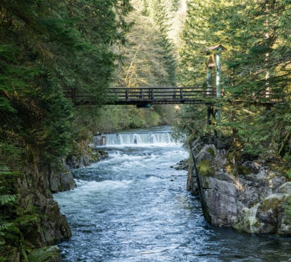 Holzbrücke über einen Fluss in einer bewaldeten Umgebung in Nordvancouver. Kanada-Rundreise