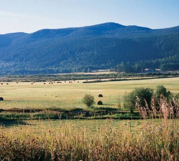 Weite Landschaft in Westkanada mit Heuballen auf einer Wiese und Bergen im Hintergrund. Kanada-Rundreise