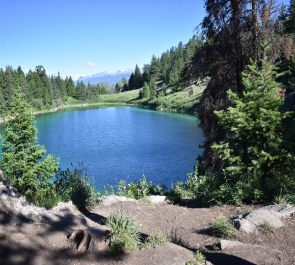 Ein ruhiger See im Jasper Nationalpark, umgeben von Bäumen und Bergen im Hintergrund. Kanada-Rundreise