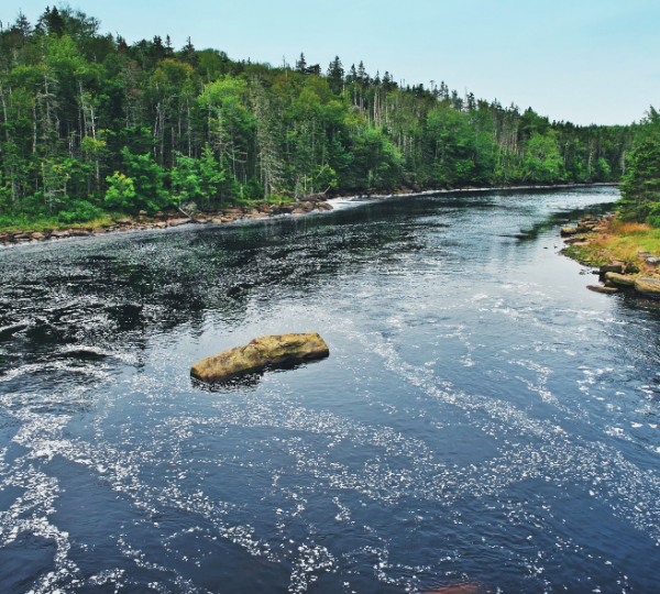 Ein ruhiger Fluss mit einem Felsen in der Mitte, umgeben von Bäumen und grünem Uferbewuchs. Kanada-Rundreise