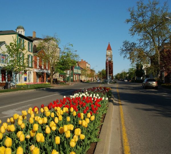 Bunte Tulpen in gelb und rot entlang einer Straße in Niagara-on-the-Lake mit einem Uhrturm im Hintergrund. Kanada-Rundreise