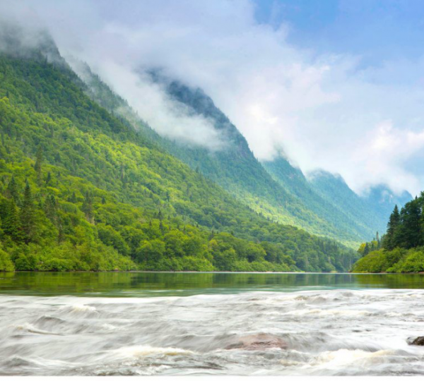 Fluss mit sanften Wellen, umgeben von bewaldeten Bergen und Nebel in Kanada. Kanada-Rundreise
