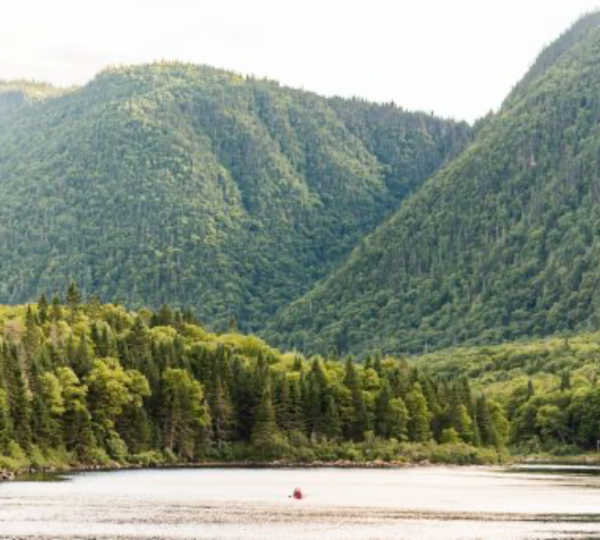 Berglandschaft mit grünen Wäldern und einem ruhigen Gewässer im Vordergrund. Kanada-Rundreise