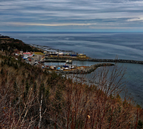 Blick auf den Hafen von Saint-Anne-des-Monts mit Booten und Wasser im Vordergrund. Kanada-Rundreise