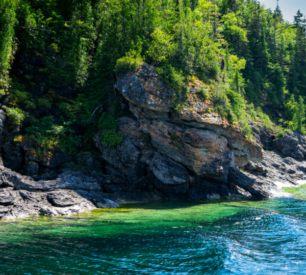 Felsige Küste mit klarem Wasser und grüner Vegetation in Tobermory, Kanada. Kanada-Rundreise