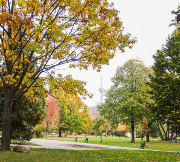 Herbstliche Parklandschaft in Toronto mit bunten Bäumen und dem CN Tower im Hintergrund. Kanada-Rundreise