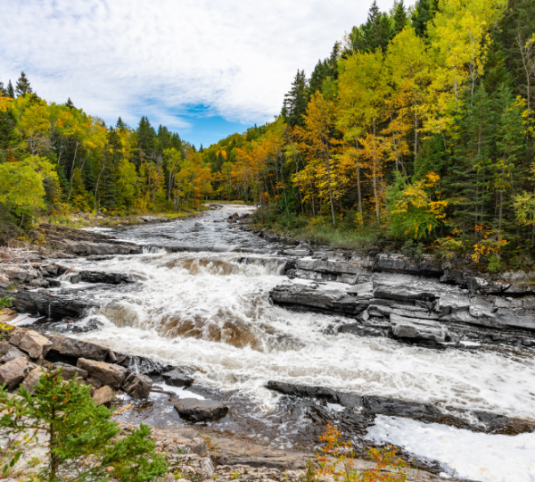 Ein Fluss mit schäumendem Wasser, umgeben von Bäumen in herbstlichen Farben. Kanada-Rundreise