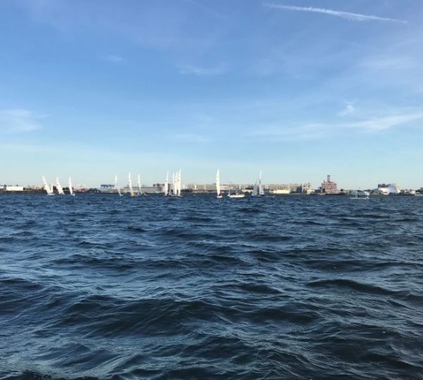 Mehrere Segelboote, die auf einem Gewässer mit Wellen segeln, unter einem klaren blauen Himmel. Kanada-Rundreise