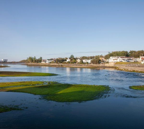 Flusslandschaft mit grünem Bewuchs und Häusern am Ufer in Matane, Ostkanada. Kanada-Rundreise