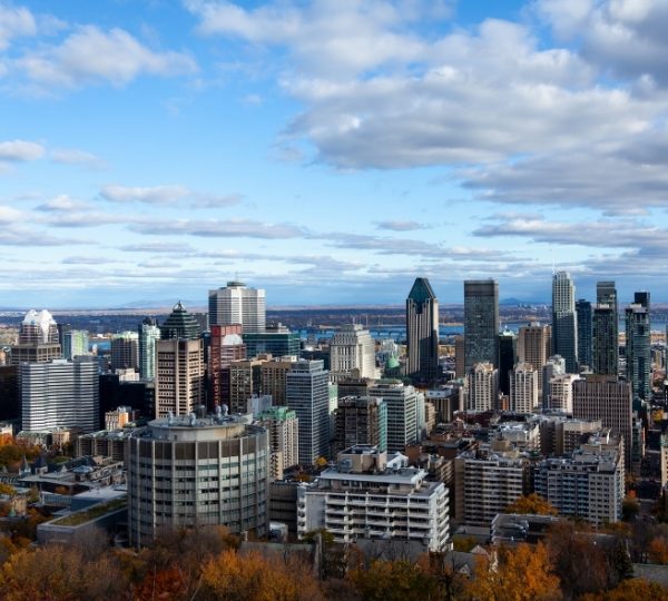 Panoramaansicht von Montreal mit modernen Wolkenkratzern und herbstlichen Bäumen im Vordergrund. Kanada-Rundreise