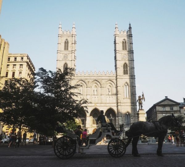 Pferdekutsche mit einem Pferd vor der Notre-Dame-Basilika in Montreal, Kanada, an einem klaren Tag. Kanada-Rundreise